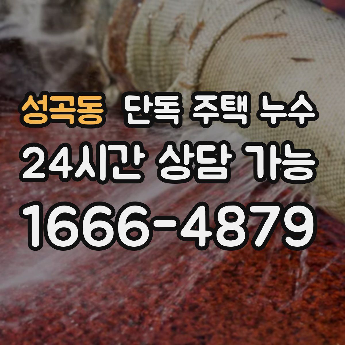 성곡동 단독 주택 누수