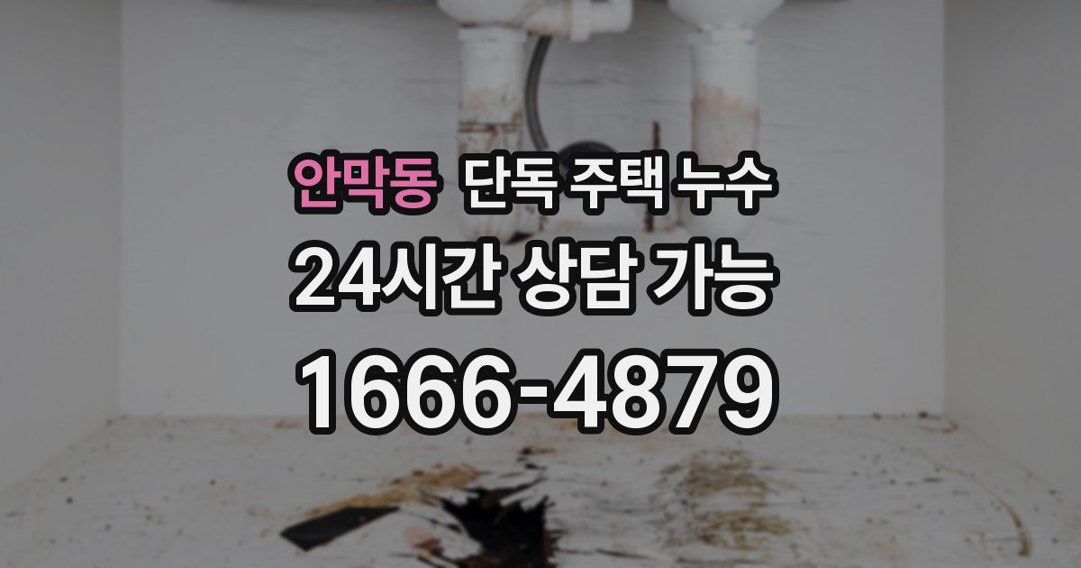 안막동 단독 주택 누수