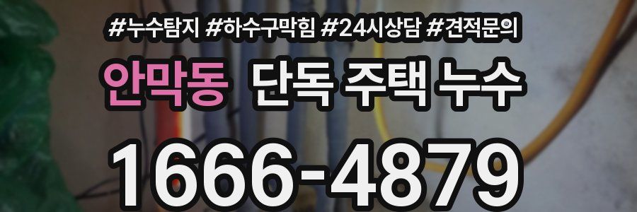 안막동 단독 주택 누수