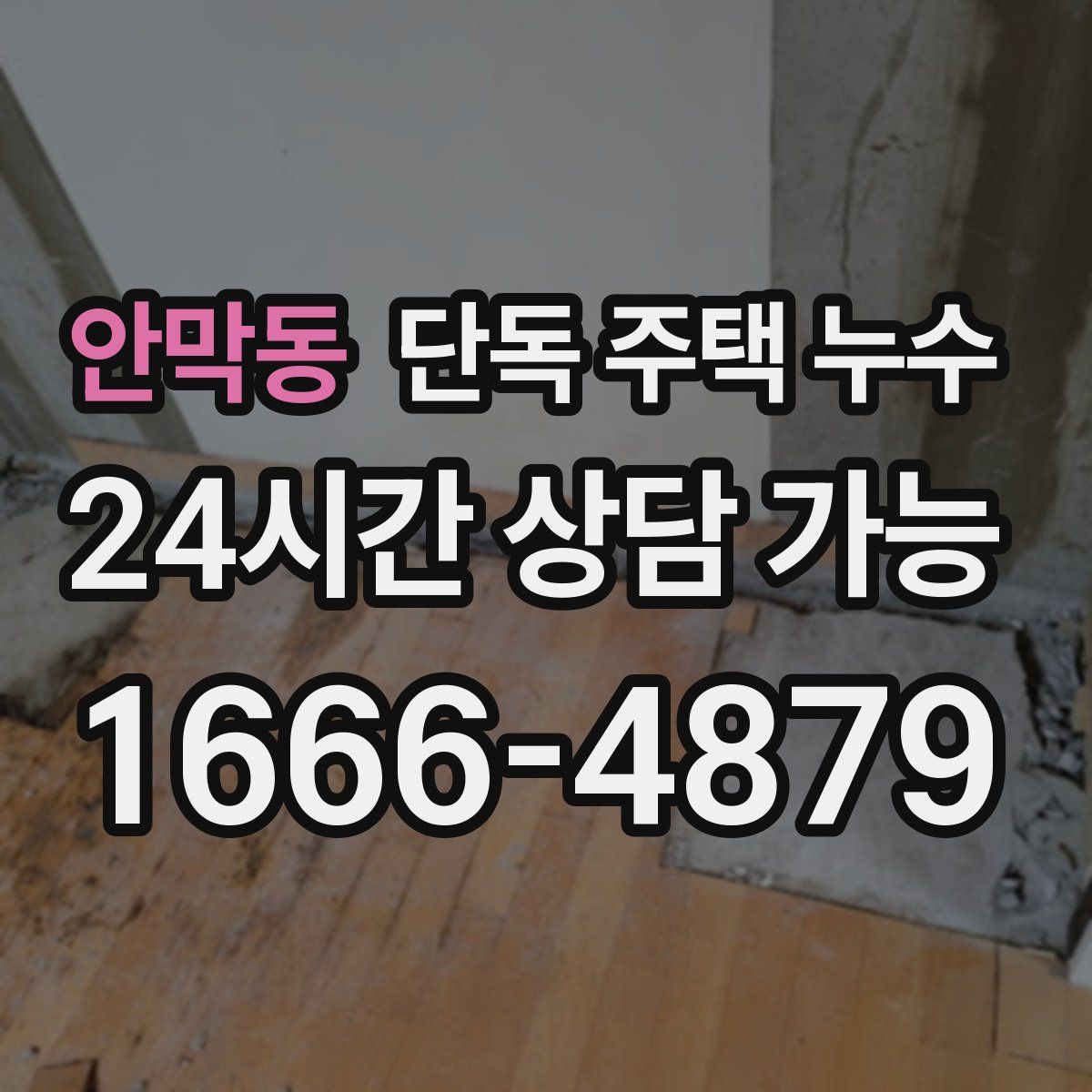 안막동 단독 주택 누수