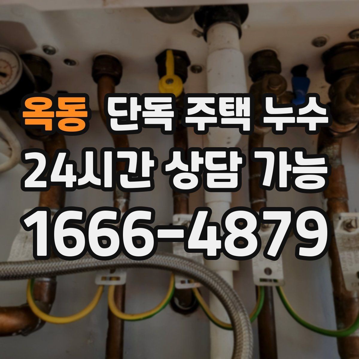 옥동 단독 주택 누수 외벽면 방에서 곰팡이가 심한 이유