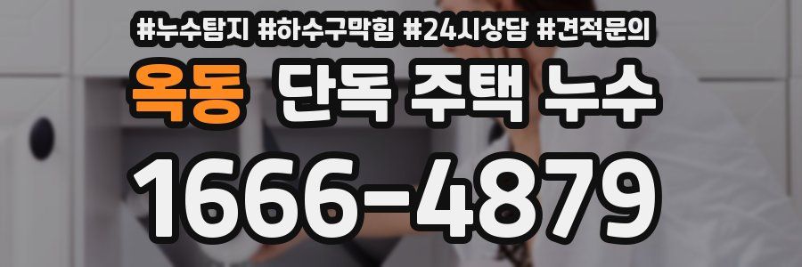 옥동 단독 주택 누수