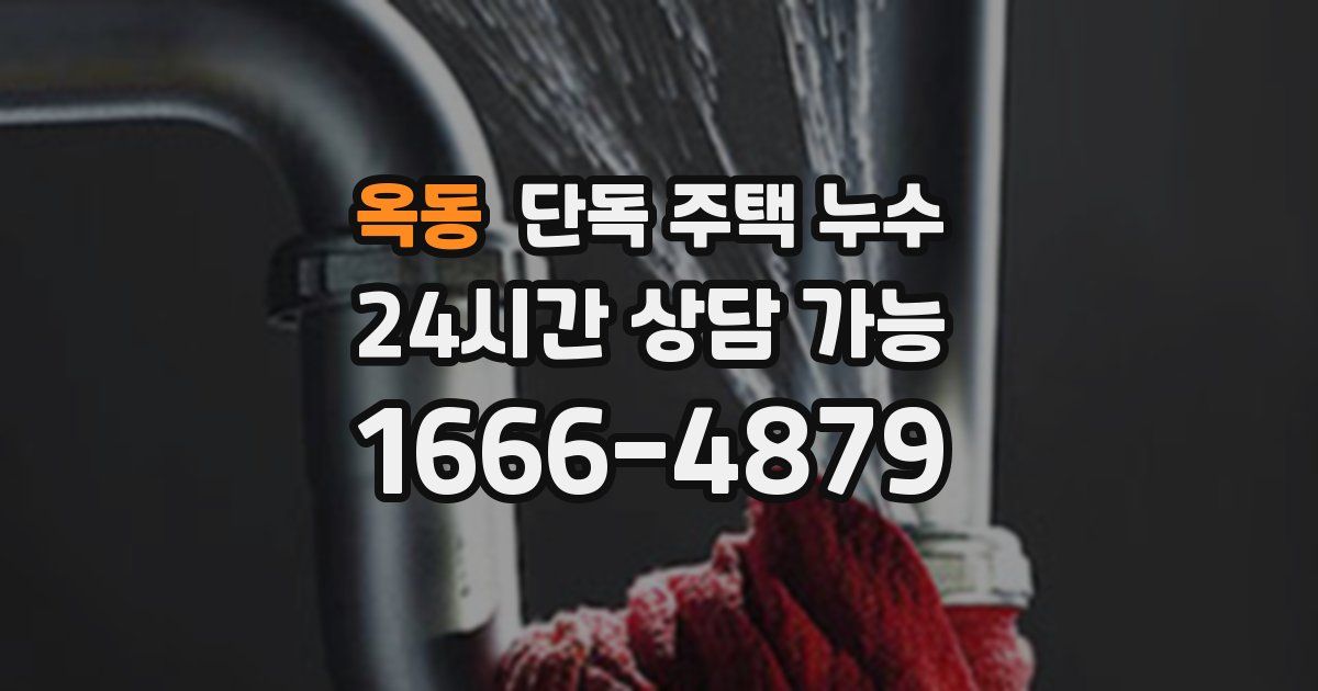 옥동 단독 주택 누수