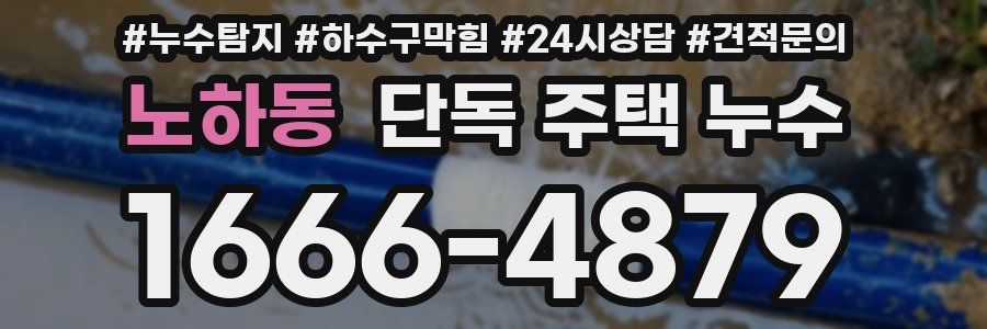 노하동 단독 주택 누수