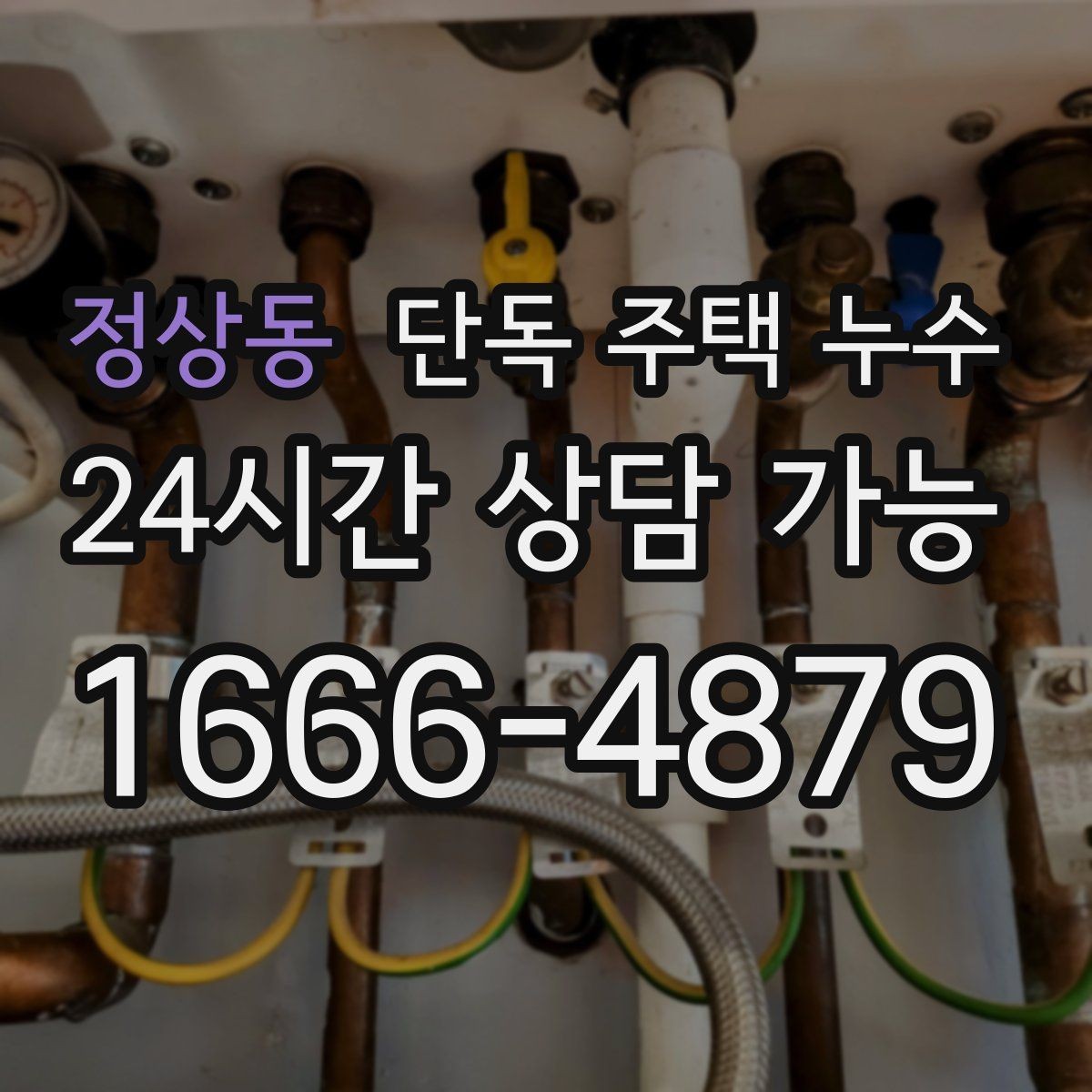 정상동 단독 주택 누수 벽지 속에서 젖은 냄새가 날 때