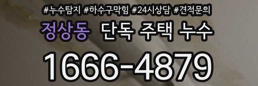 정상동 단독 주택 누수