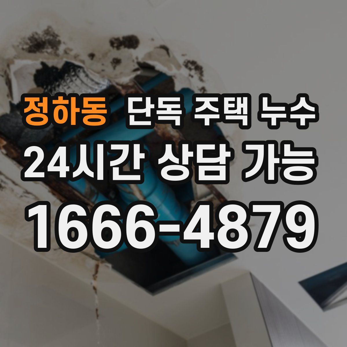 정하동 단독 주택 누수