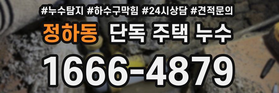 정하동 단독 주택 누수