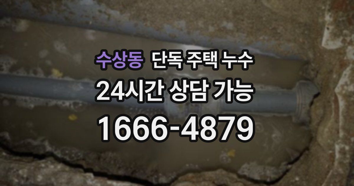 수상동 단독 주택 누수