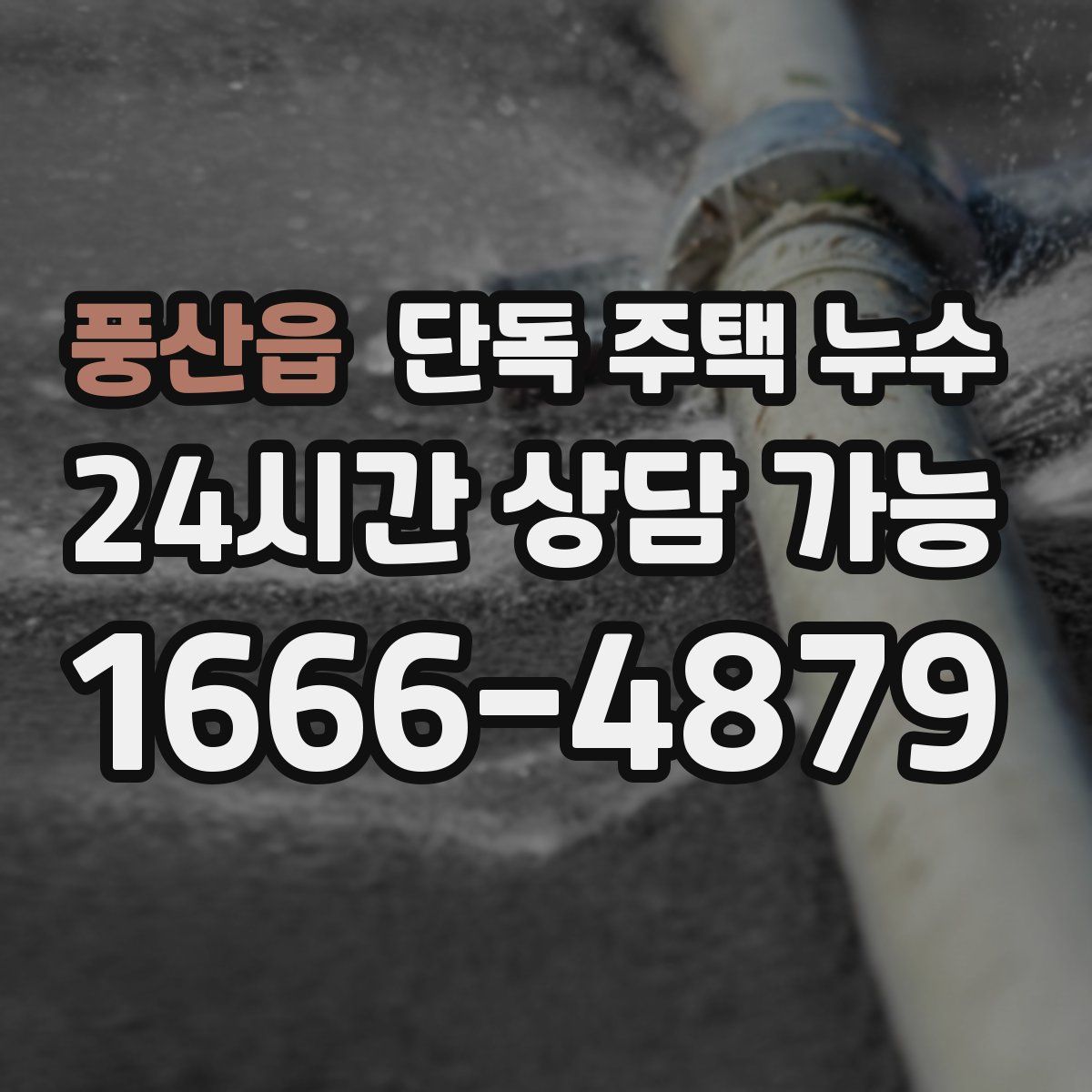 풍산읍 단독 주택 누수