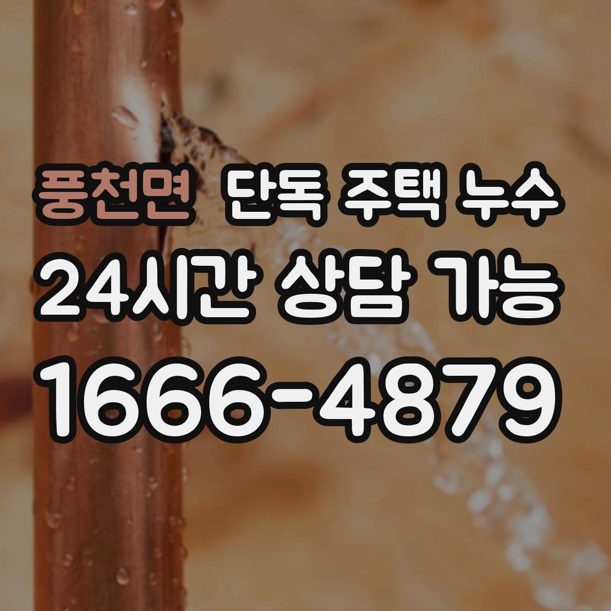 풍천면 단독 주택 누수