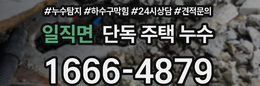 일직면 단독 주택 누수