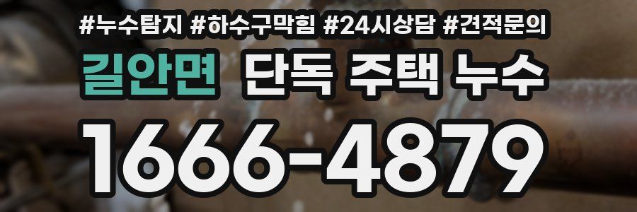 길안면 단독 주택 누수