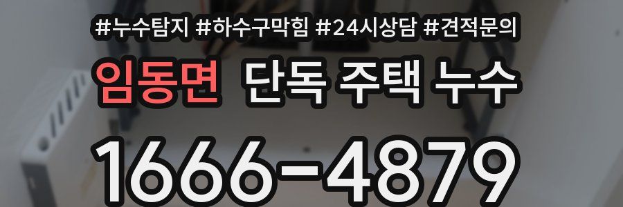 임동면 단독 주택 누수