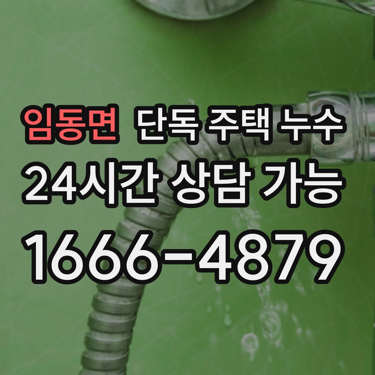 임동면 단독 주택 누수