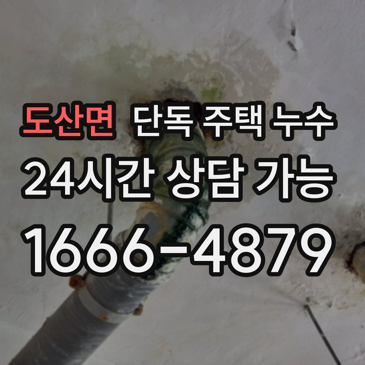 도산면 단독 주택 누수