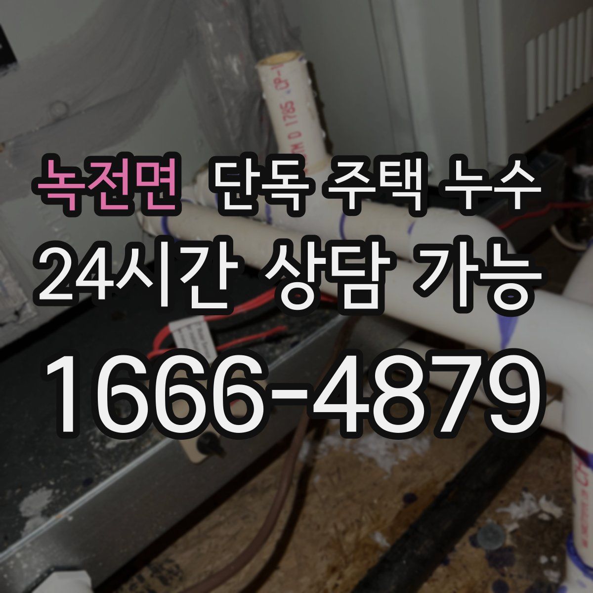 녹전면 단독 주택 누수