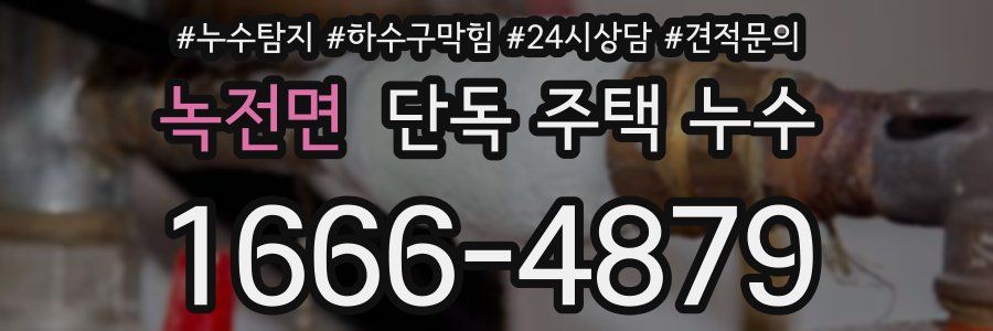 녹전면 단독 주택 누수