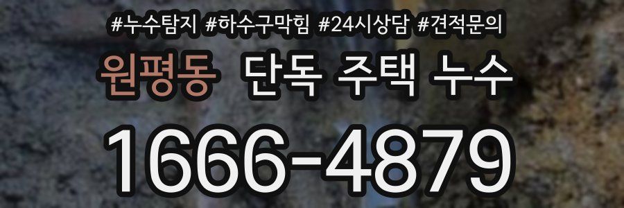 원평동 단독 주택 누수