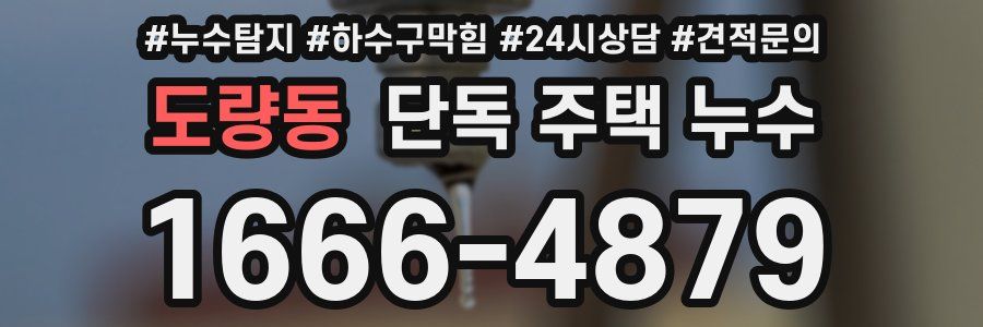 도량동 단독 주택 누수