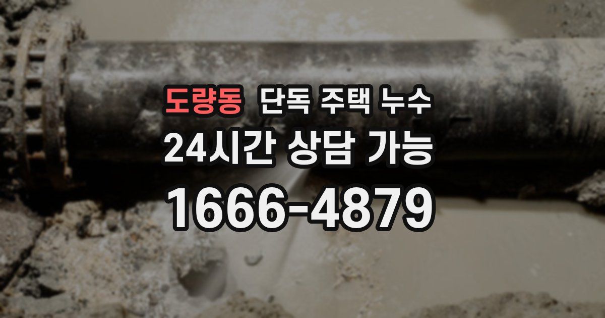 도량동 단독 주택 누수