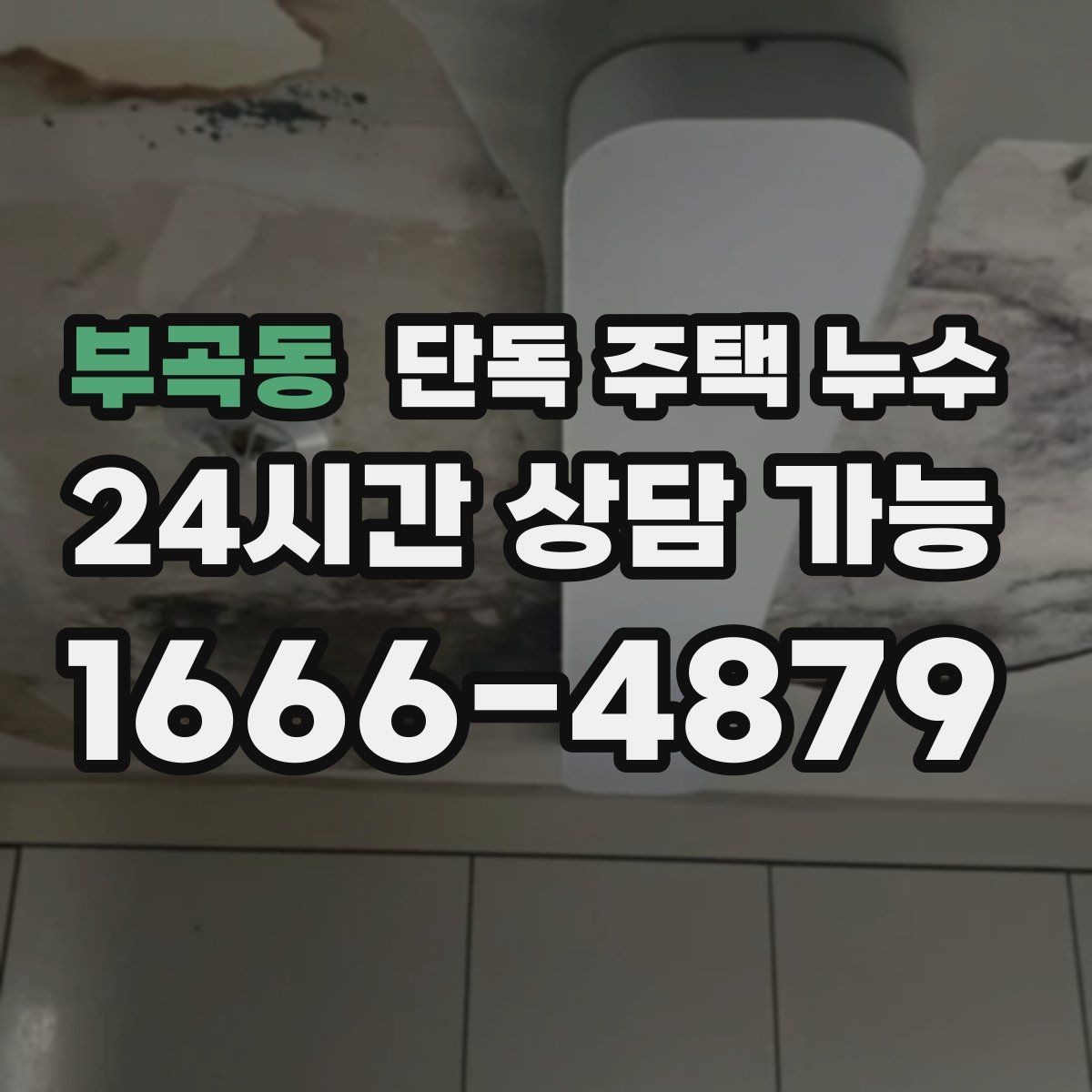 부곡동 단독 주택 누수 외벽 균열 관찰로 조기 발견하는 팁