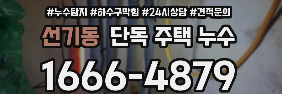 선기동 단독 주택 누수