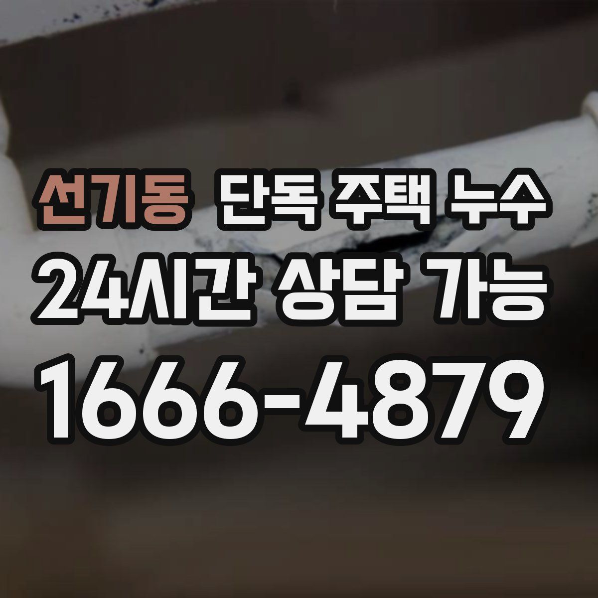 선기동 단독 주택 누수