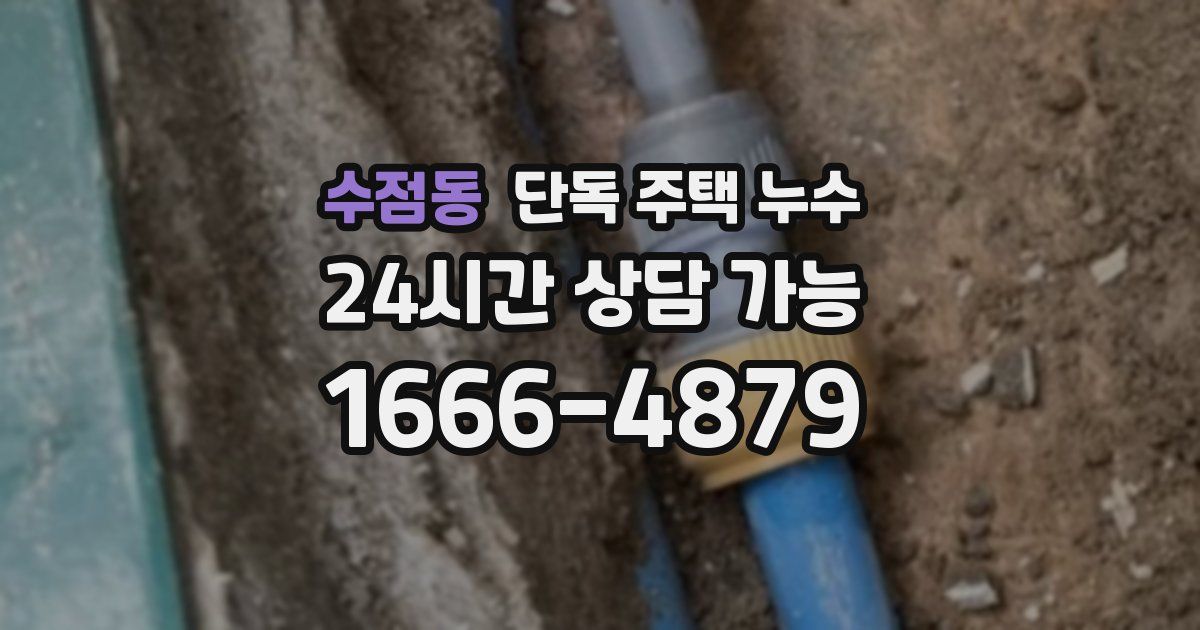 수점동 단독 주택 누수