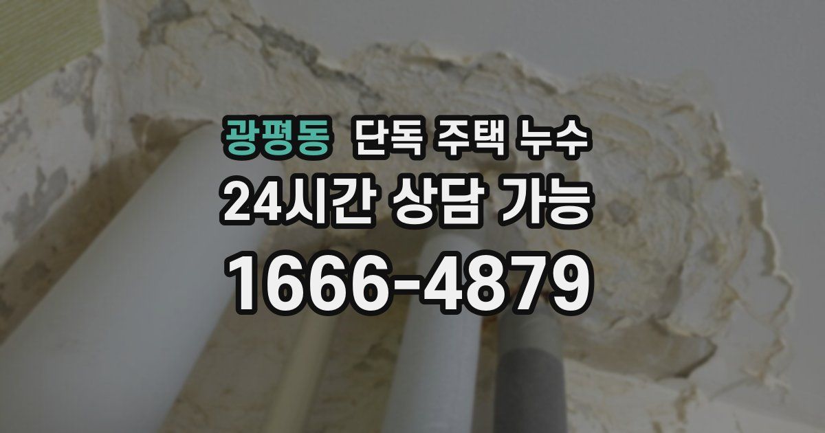 광평동 단독 주택 누수