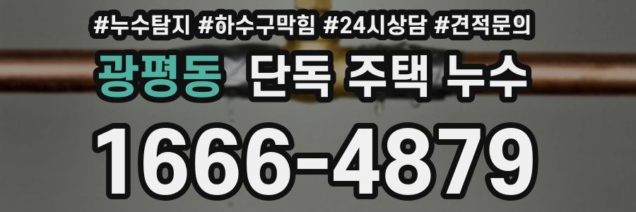 광평동 단독 주택 누수