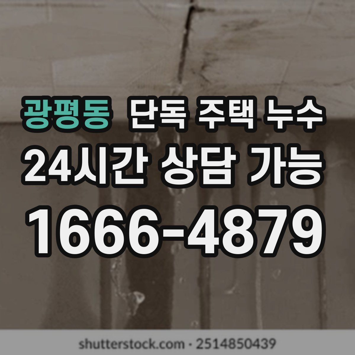 광평동 단독 주택 누수
