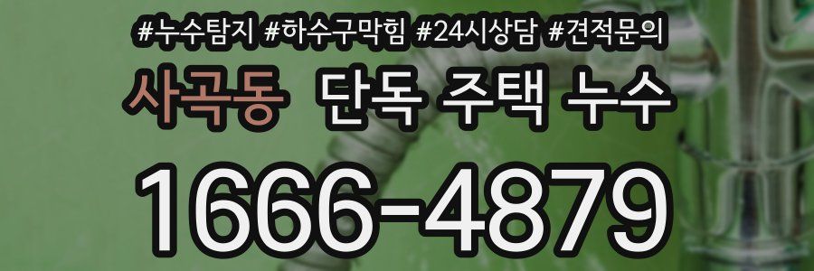 사곡동 단독 주택 누수