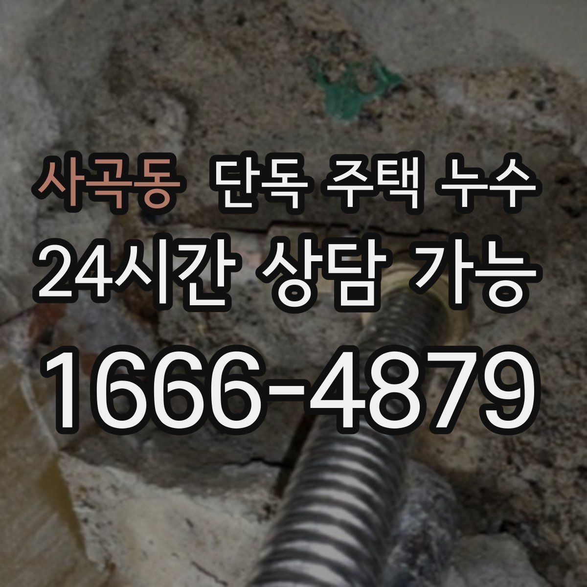 사곡동 단독 주택 누수