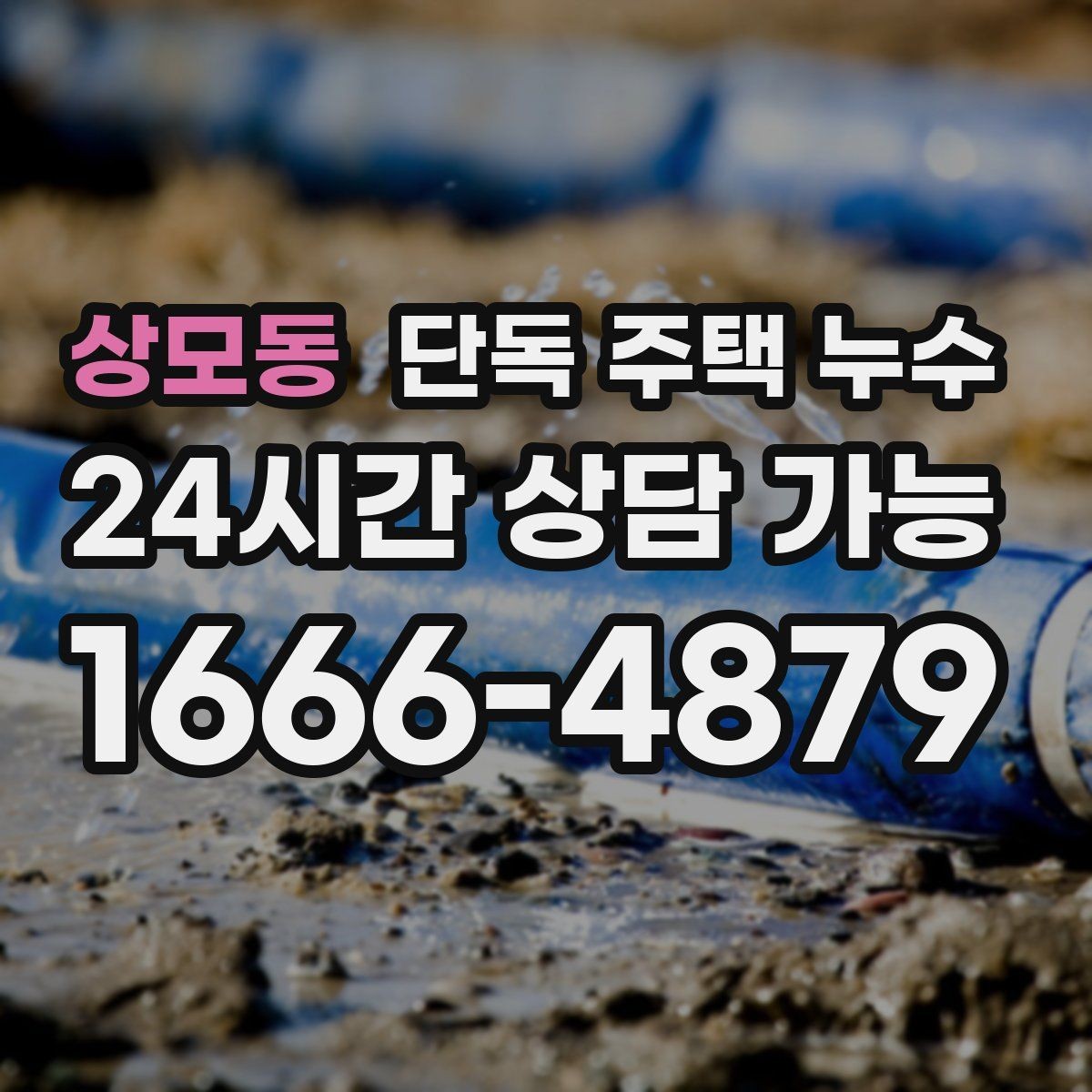상모동 단독 주택 누수 마당 경사와 배수 불량이 원인일 때