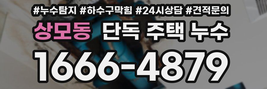 상모동 단독 주택 누수