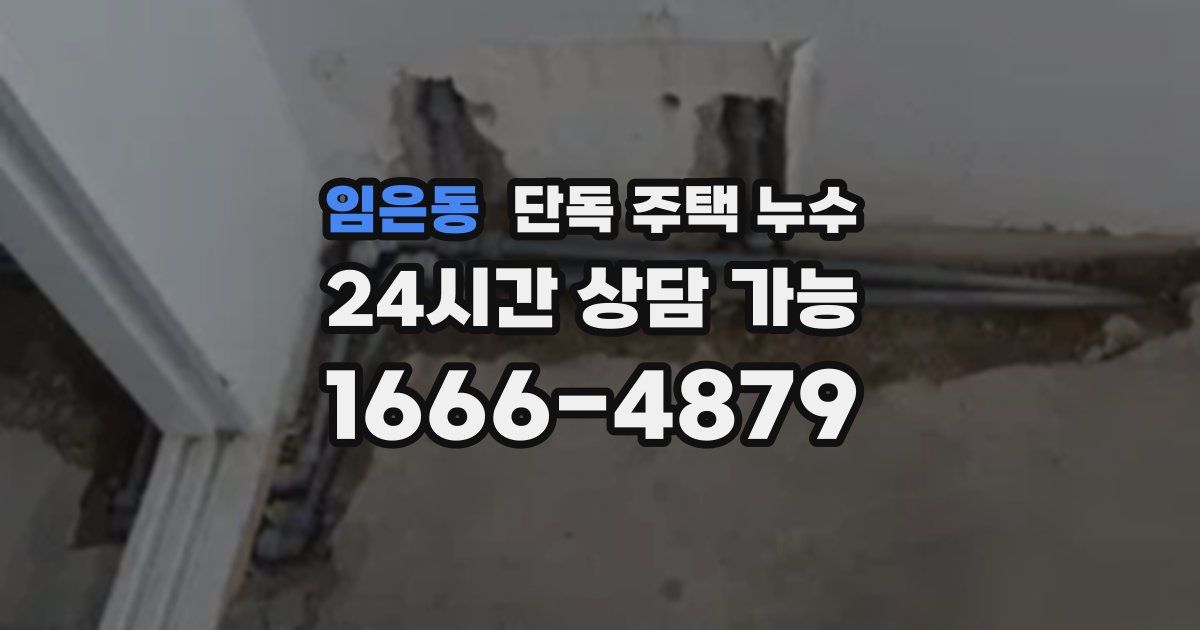 임은동 단독 주택 누수