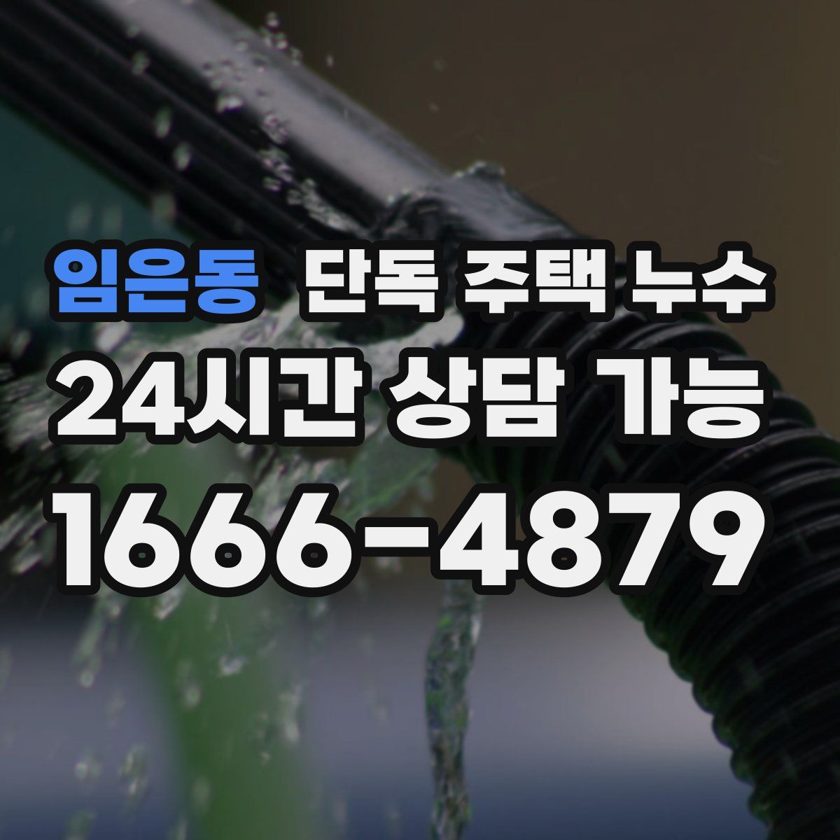 임은동 단독 주택 누수