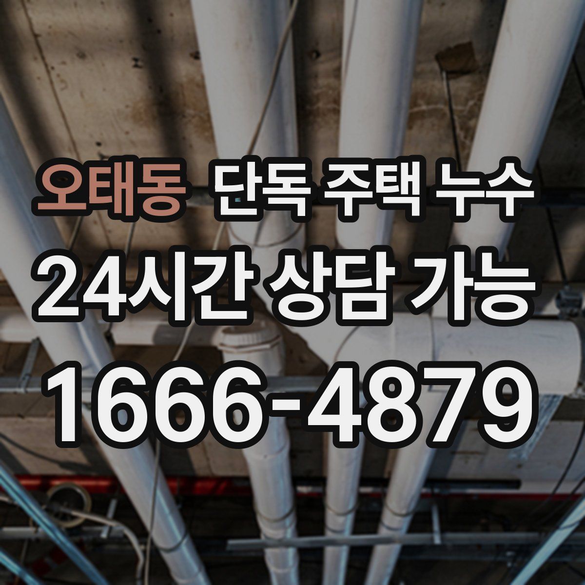 오태동 단독 주택 누수