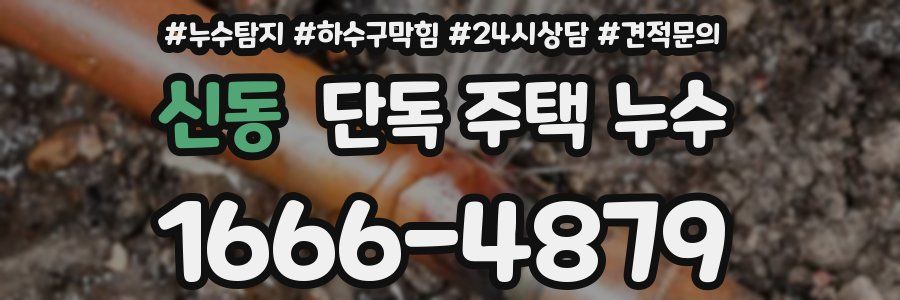신동 단독 주택 누수