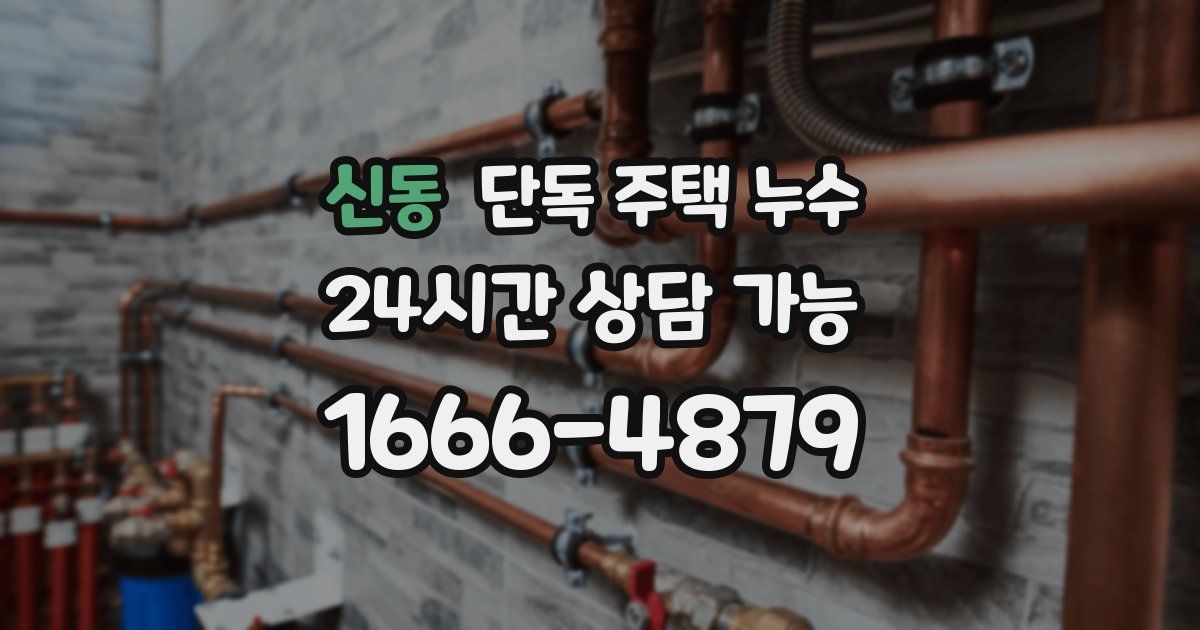 신동 단독 주택 누수