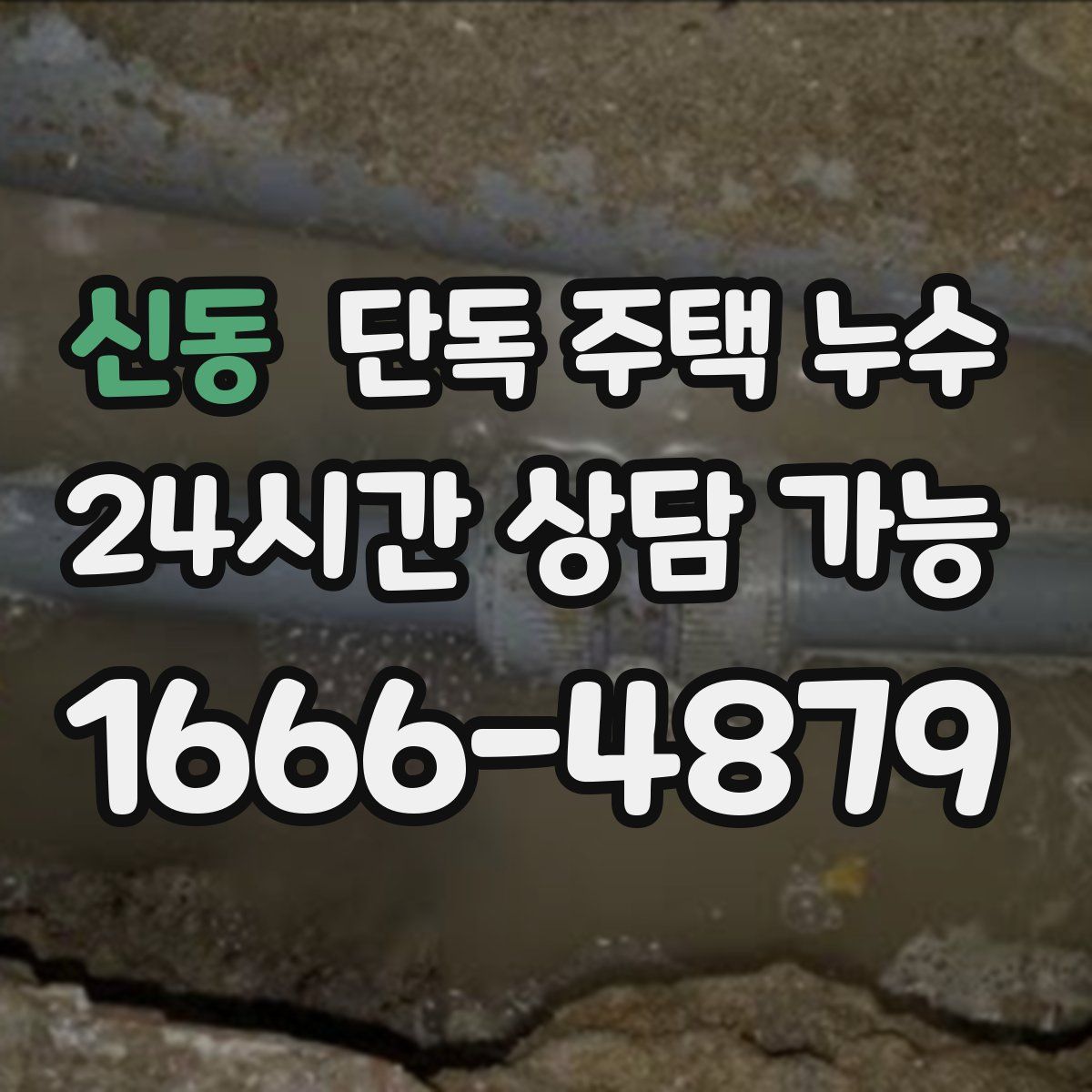 신동 단독 주택 누수