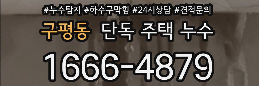 구평동 단독 주택 누수