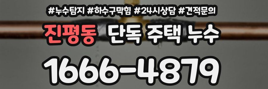 진평동 단독 주택 누수