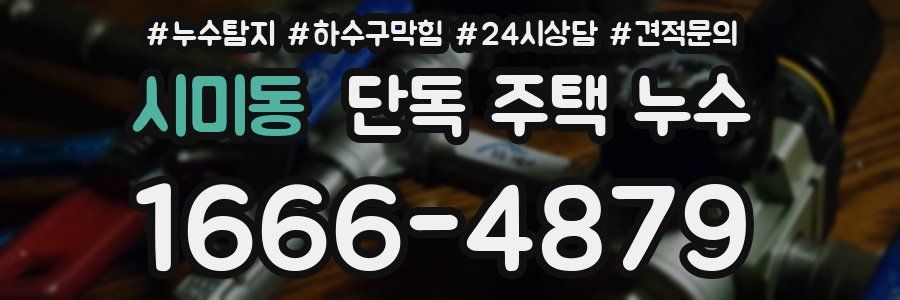 시미동 단독 주택 누수