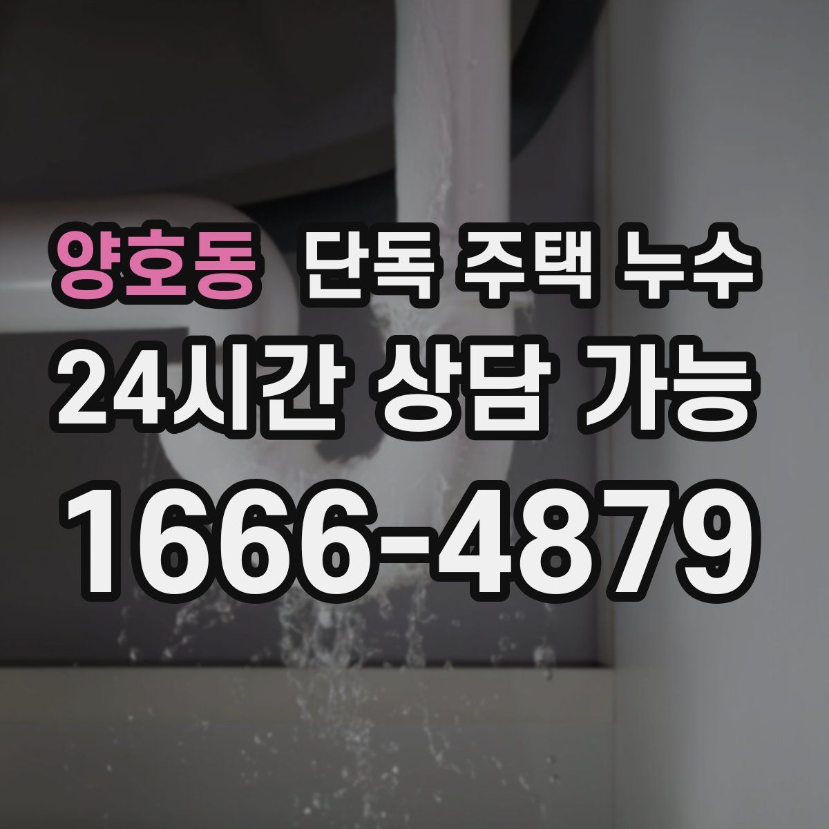 양호동 단독 주택 누수