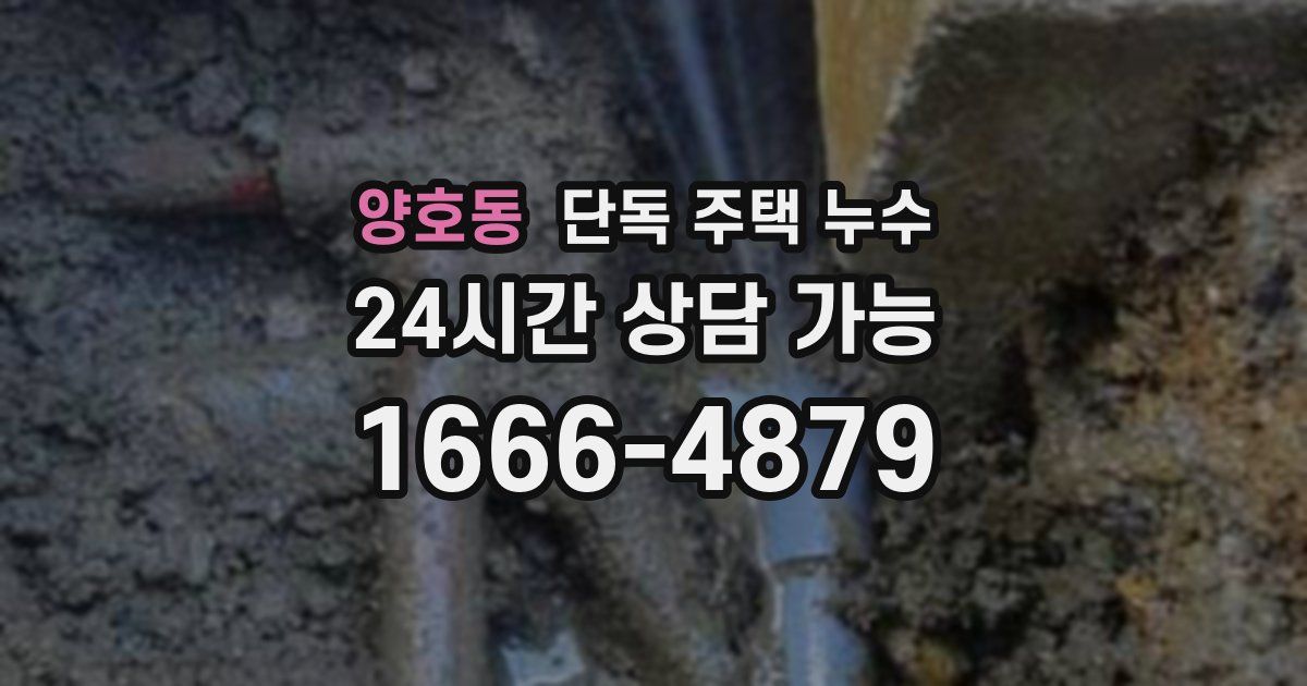 양호동 단독 주택 누수