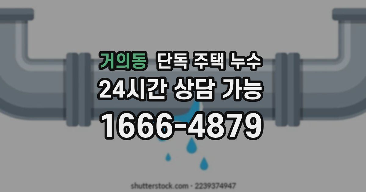 거의동 단독 주택 누수