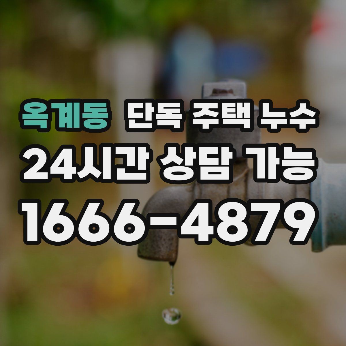 옥계동 단독 주택 누수 외벽면 방에서 곰팡이가 심한 이유