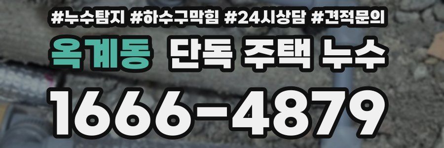 옥계동 단독 주택 누수